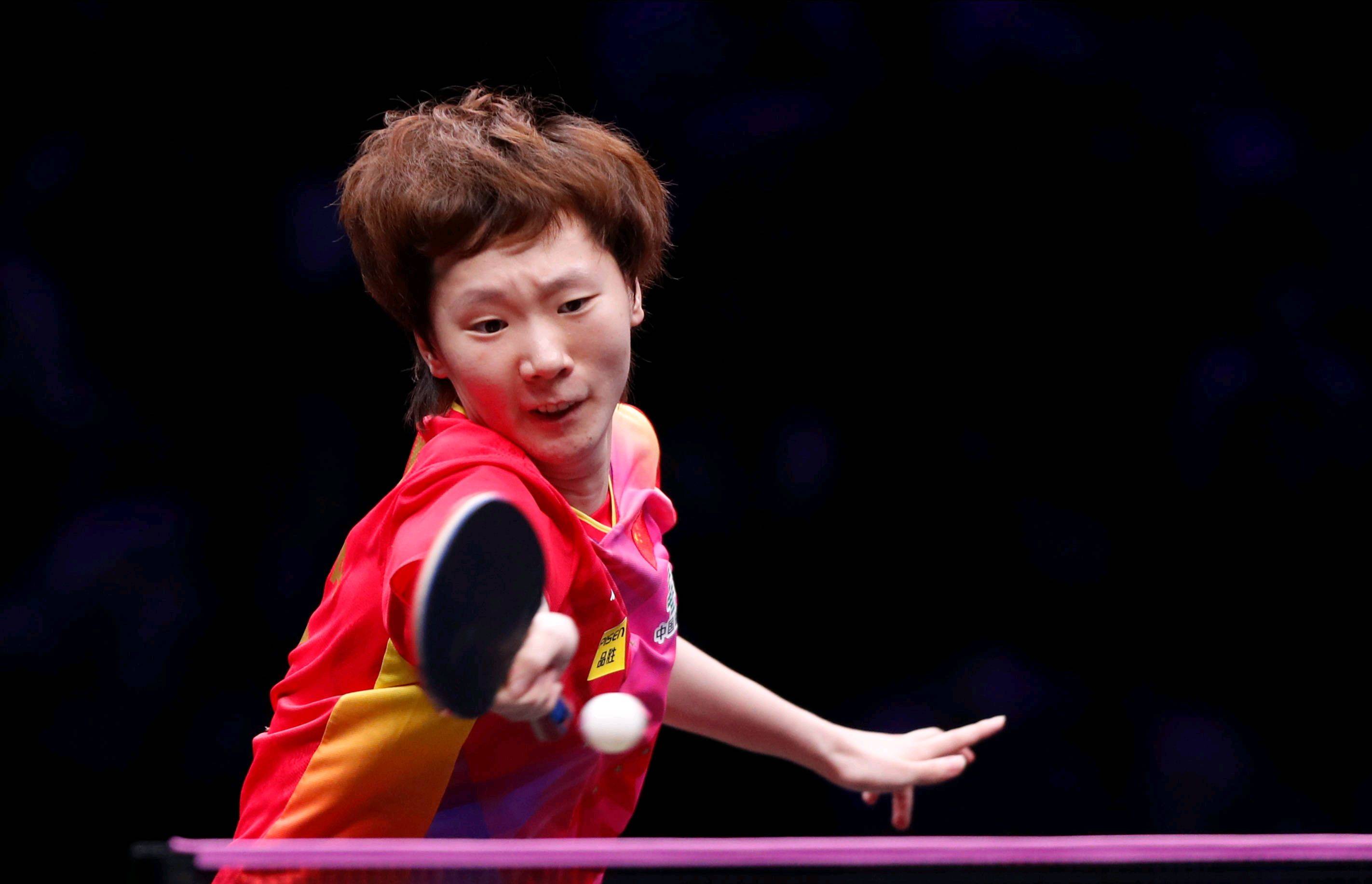 园的自然风 园的自然风