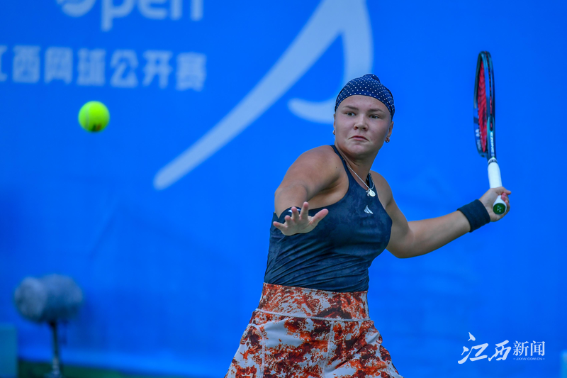 市场占有率 市场占有率